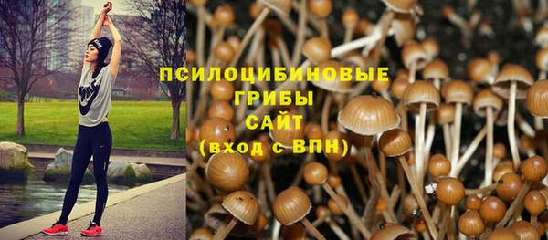амфетамин Вяземский
